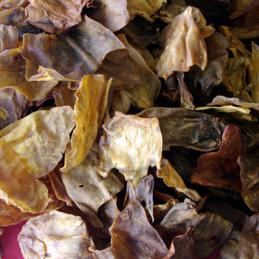 Snacks Deshidratados para Perros y Gatos