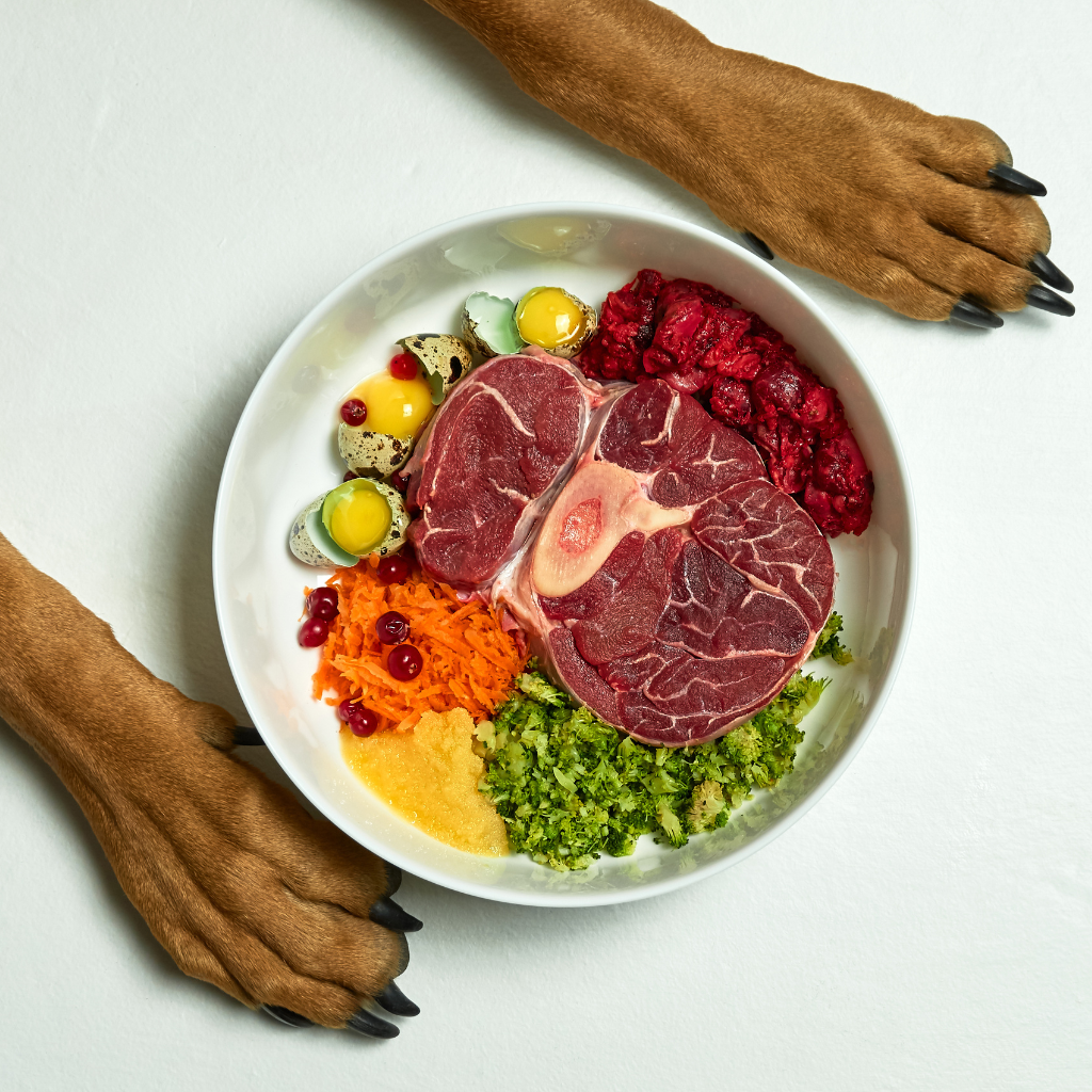 Dieta BARF Perros