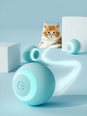 Pelota Magica Para Gatos